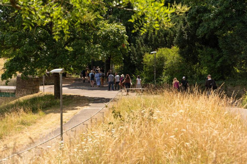 Eine Gruppe an Personen laufen durch einen Park mit Bäumen. Die Sone scheint.