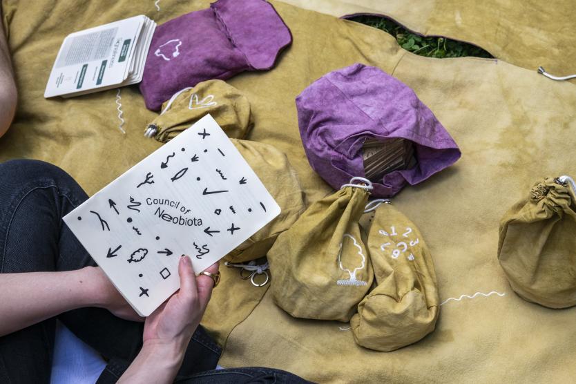 Nahaufnahme von Händen, die eine Broschüre mit der Aufschrift „Council of Neobiota“ halten, neben kleinen Stoffbeuteln auf einer gelben Decke.   Close-up of hands holding a booklet titled "Council of Neobiota" next to small fabric pouches on a yellow blanket. 